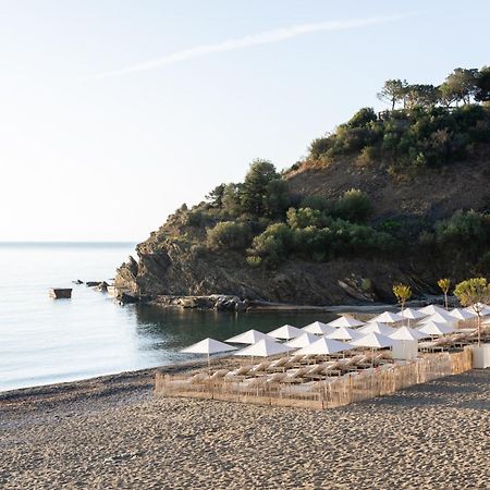 Les Elmes - Hotel, Spa & Plage Privee Banyuls-sur-Mer Zewnętrze zdjęcie